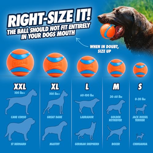Chuckit! Ultra Ball Dog Toy - Medium Bouncy Fetch Balls For Dogs 20-60 lbs - Made from Durable Rubber - Floating Water Pet Toys - Size Medium - 2.5-inch Diameter - Pack of 2