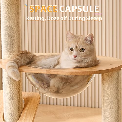 HITTITE Solid Wood Cat Tree Tower with Scratching Post, 37.8 Inches Tall Cat Towers with Scratching Board and Scratcher Ball, Modern Cat Tower With Space Capsule and Removable Top Bed for Indoor Cats.