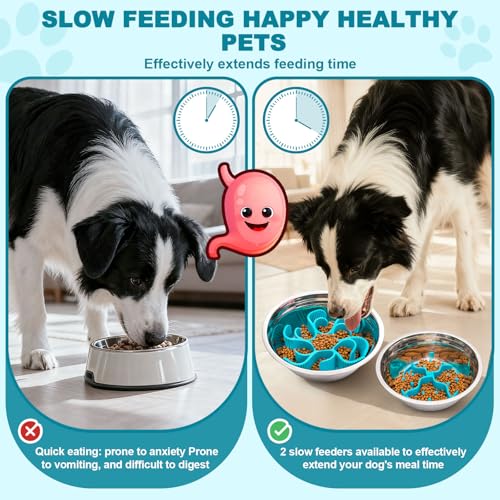 PETDOGRE Slow Feeder Insert for Dog Bowl - 2PCS Anti-Bloat Silicone Mat with Super Suction, Slow Feeder Dog Bowls for Puppy Large Breed Dogs