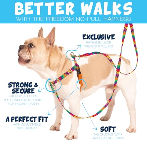 2 Hounds Design Freedom No Pull Dog Harness, Adjustable Harness, Easy Walking & Comfortable Control, Fits Small, Medium & Large Dogs, Solid Colors, Made in USA, 1" LG, Red