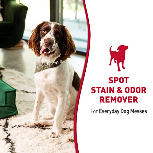 Nature’s Miracle Stain & Odor Remover, Tough on Dog Urine, Feces, Vomit, Drool and Other Organic Stains and Odors, 170 fl oz Refill
