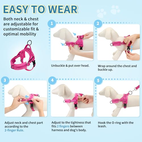 SlowTon No Pull Small Dog Harness and Leash Set, Puppy Soft Vest Harness Neck & Chest Adjustable, Reflective Lightweight Harness & Anti-Twist Pet Lead Combo for Small Medium Dogs (Fuchsia, XS)