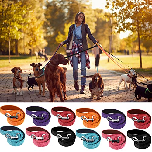 Vicenpal 12 Pcs Double Sided Reflective Dog Leash with Soft Padded Handle, Bulk Nylon Animal Leashes for Medium and Large Dogs Heavy Duty Animal Leash for Walking, Training, 6 Colors(6 ft,Cute Colors)