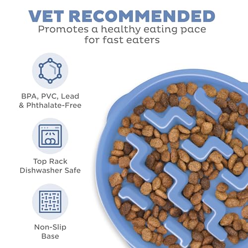 Outward Hound Fun Feeder Slo Bowl – Large 4‑Cup Capacity, Slow Feeding, Medium to Large Dogs, Non‑Slip, Blue, Notch Pattern