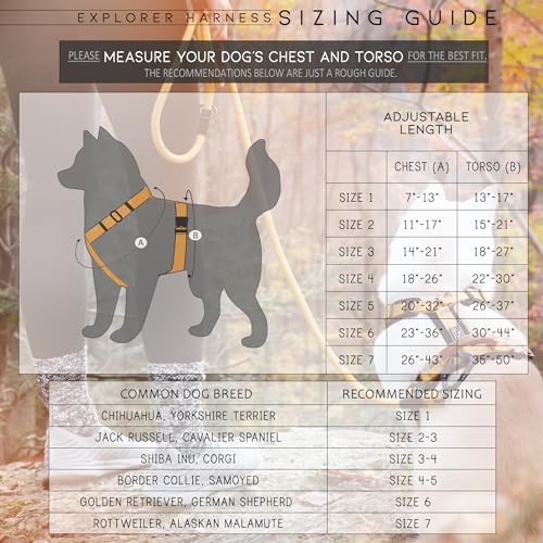 MADE TO ROAM Premium Explorer Harness - Y-Shaped Dog Harness with Adjustable Durable Nylon, Soft Padding, Metal Buckles and Leather Handle for Small, Medium, Large Dogs (Colorado Nightsky, Size 5)