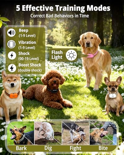 Shock Collar for Dogs 4 Pack (5–150Lbs), 4400FT Waterproof 4 Dog Training Collar with Remote Control 5 Training Modes Rechargeable Electric Dog Collar with Light, E Collars for Small Medium Large Dogs