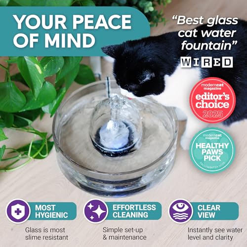 Brook Glass Pet Fountain (90oz/2.7L) – Cat & Dog Water Fountain – Glass Cat Fountain & Automatic Water Dispenser for Drinking
