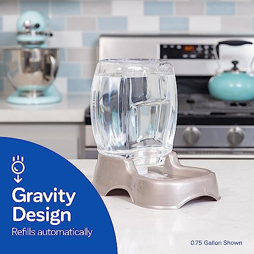 Petmate Pet Cafe Cat and Dog Water Dispenser Extra Small Water Bowl for Kittens and Puppies, USA Made, 0.25 GAL, 7.3"H, Pearl Ash Blue