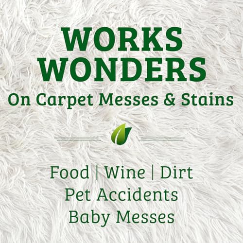 Biokleen Bac-Out Enzyme Cleaner and Stain & Odor Remover for Pet Stains, Laundry, Diapers, Wine, Carpets, & More, Eco-Friendly, Non-Toxic, Lime Scent, 128 Ounces