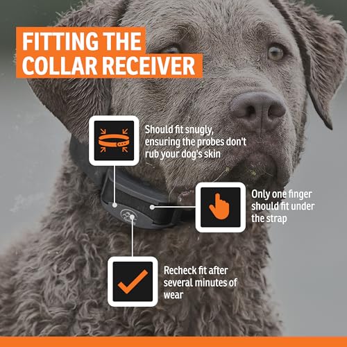SportDOG NoBark 10 Bark Control Collar - Silent Partner Technology Detects Only Your Dog's Bark, 10 Static Levels, 2 Training Modes, Rechargeable 200-Hr Battery, Waterproof, Dogs 8 lb+