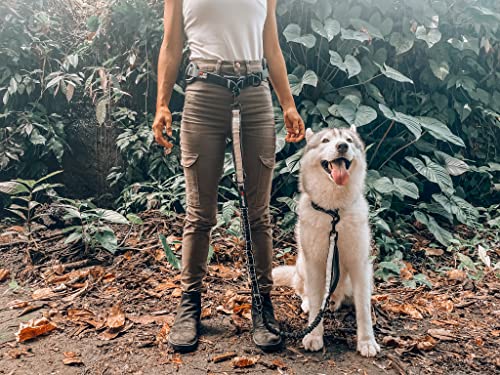 Tuff Pupper Heavy Duty Hands Free Dog Leash | One Large Dog Up to 125 lbs | Comfortable Shock Absorbing Bungee | Reflective Padded Handles | Lumbar Waist Belt 28-50" | Walking Jogging Running Leash