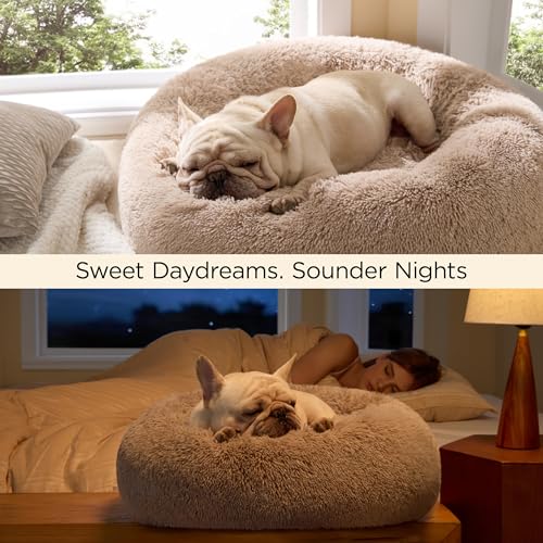 Bedsure Calming Dog Bed for Small Dogs - Donut Washable Small Puppy Bed, 23 inches Anti-Slip Round Fluffy Plush Faux Fur Large Cat Bed, Fits up to 25 lbs Pets, Camel
