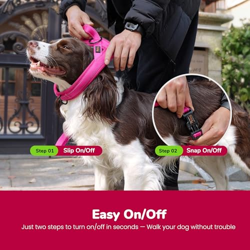 Didog No Pull Dog Harness with Breathable Mesh Padded,Reflective & Quick Fit Light Weight Dog Strap Vest Harness,Easy for Walking Training (M:Chest 21-26", Mesh-Hot Pink)