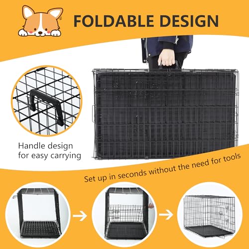 FDW Dog Crate Dog Kennel Cage with Double Door,36 inch Folding Metal Wire Dog Cage with Removable Tray&Divider Panel,Pet Crate for Medium Dogs,Black
