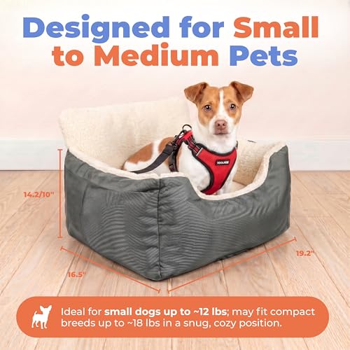 Best Pet Supplies Elevated Dog Car Seat for Small Dogs, Booster Seat with Safety Tether & Storage, Washable Travel Pet Seat for Front or Back Seat, Up to 25 lbs - Gray - 21 x 20 x 14