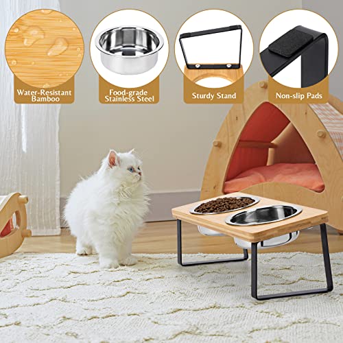 Cat Food Bowl for Indoor Cats - Elevated Stainless Steel Water Bowl, Tilted Raised Kitten Dish Set for Whisker Friendly and Anti Vomit, Feeding Station for Puppy and Pet