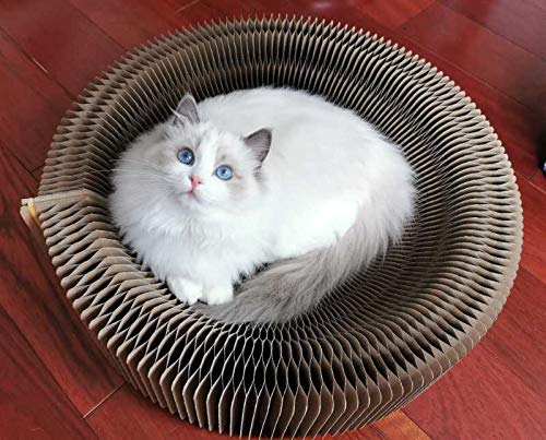BobbyPet Cat Scratcher Lounge Bed - Collapsible Round Shape for Big Cat, Honeycomb Paper, 20 Inch
