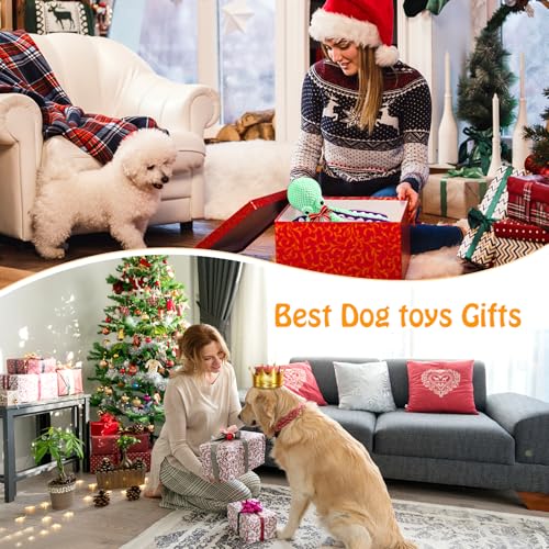 Fuufome Squeaky Plush Dog Toys, Soft Fabric Toys for Puppy, Small and Medium Dogs, Interactive Daily Companionship Training Reward Birthday Gift