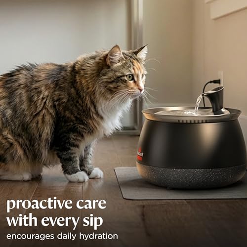 BISSELL HydrateWell Pet Water Fountain, 91oz Automatic Cat Water Fountain with Wireless Pump, SlimeShield and 5-Layer Filtration, Ultra Quiet Cat Water Dispenser, 4408