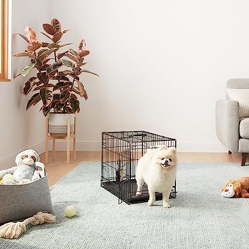 Amazon Basics Portable, Foldable Metal Wire Dog Crate with Removable Tray, Single Door, Divider Panel, Collapsible for Travel, 22 x 13 x 16 in, Black