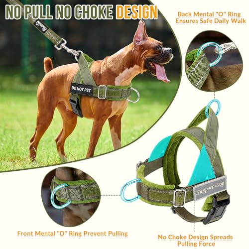 Lukovee No Pull Dog Harness and Leash Set - Adjustable Soft Padded Vest with Front Clip for Easy Control, Reflective Durable Harness for Safe Daily Training Walking for Medium Large Dogs (L, Green)