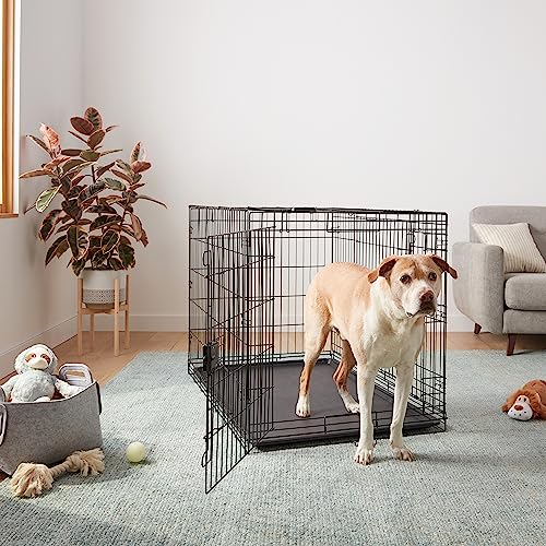 Amazon Basics Portable Metal Wire Dog Crate for Large Dogs, Double Door with Removable Tray, Divider Panel, Easy to Assemble, 48" x 30" x 32.5", Black