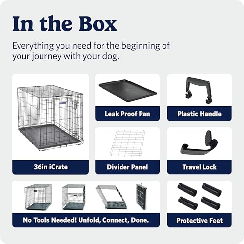 MidWest Homes for Pets 36-Inch iCrate for Medium-Large Breeds, 41-70 lbs, Single Door Folding Dog Crate with Divider Panel, Leak-Proof Tray & Secure Latches, Portable, Durable & Easy to Assemble