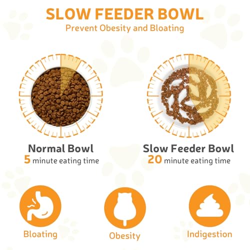 GUWINA Raised Slow Feeder Cat Bowl with Stand, 6.3'' Wide Ceramic Elevated Shallow Slow Eating Cat Bowl for Dry/Wet Food, Anti-Vomiting Pet Puzzle Feeder, Whisker Friendly, Dishwasher Safe (White)