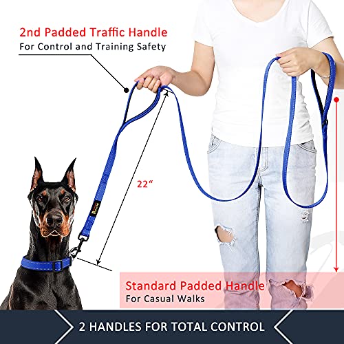 Plutus Pet Dog Leash 6ft Long,Traffic Padded Two Handle,Heavy Duty,Reflective Double Handles Lead for Control Safety Training,Leashes for Large Dogs or Medium Dogs,Dual Handles Leads(Navy Blue)