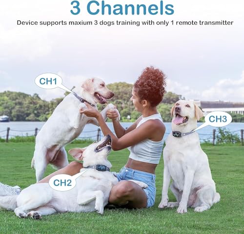 Dog Training Collar with Remote Control, 2500FT Coverage Range and 4 Training Modes, IP67 Waterproof Rechargeable E Collar for Dogs Training for All Breed