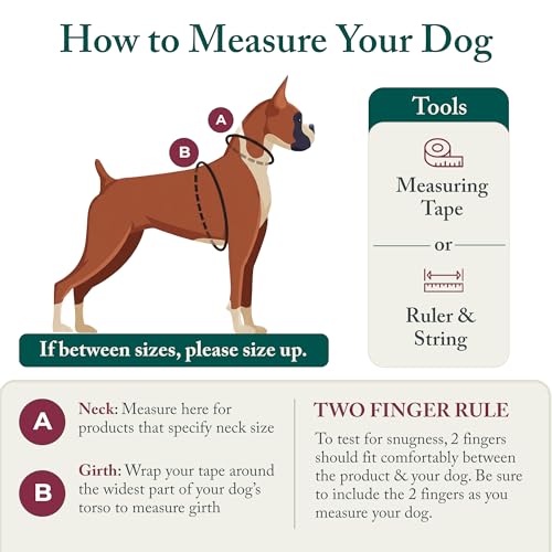 Sporn No Pull Dog Harness, Durable Nylon Mesh Harness for Small Dogs, No Choke Design, Padded Restraint Sleeves, Adjustable Fit, Easy On/Off, Ideal for Small Breeds, Blue