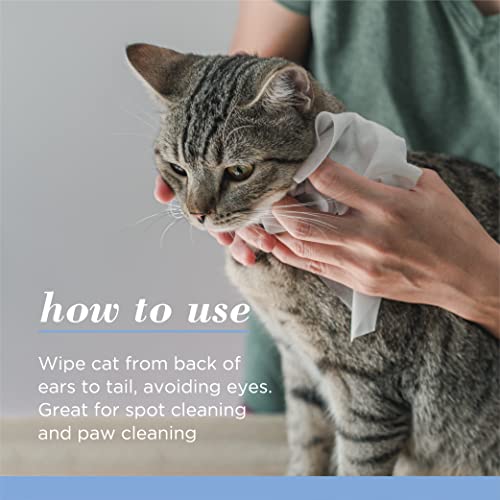 Burt's Bees for Pets Kitten Grooming Wipes with Buttermilk and Honey, Waterless Cat Bath Wipes for Face, Paws, Tail and Coat Cleaning, Gentle Bath Alternative for Indoor Felines, 50 Count
