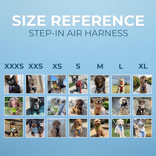 Best Pet Supplies Voyager Step-in Air Harness - All Weather Mesh, Reflective, No Pull Harness for Dogs, Cats - Secure with Hook & Loop Fastener, Buckle, Double D-Rings - Fuchsia, S