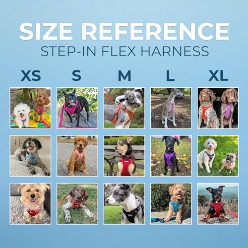 Best Pet Supplies Voyager Adjustable Step-in Flex Breathable Mesh Dog Harness for Small Medium Large Dogs (Red), M