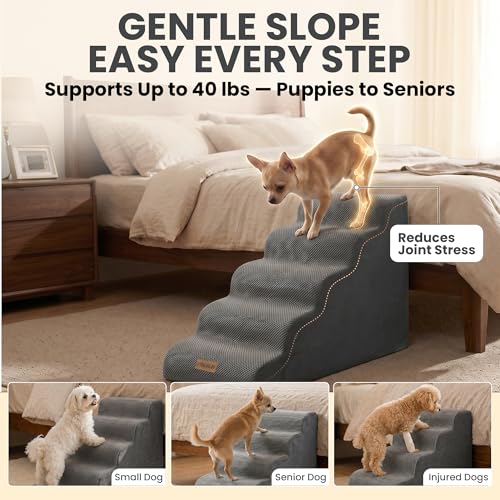 Miorun Dog Stairs for High Beds Up to 30", Extra-Tall 5-Step Dog Steps for Bed, 24.5" Tall Foam Pet Stairs for Small & Medium Dogs, Gentle Slope Cat Ramp for Bed with Washable Cover