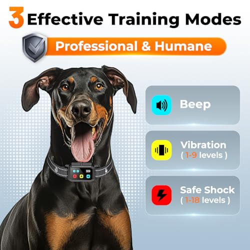 AI Dog Shock Collar 2 Dogs (10-120Lbs) - 3300FT Dog Training Collar with Remote, IPX7 Waterproof Collar with Beep, Vibration, Safe Shock for Large Medium Small Dogs, Keypad Lock and Flashing Light