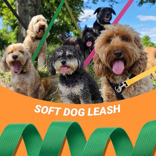 AMFOSNEL 12 Pcs Dog Leashes for Small Medium Large Dogs, 6FT Lead Short Dog Leash with Swivel Hook for Walking, Training, Hiking, Rescues, Grooming, Shelter, Outdoor