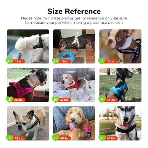 Didog No Pull Dog Harness with Breathable Mesh Padded,Reflective & Quick Fit Light Weight Dog Strap Vest Harness,Easy for Walking Training (M:Chest 21-26", Mesh-Hot Pink)