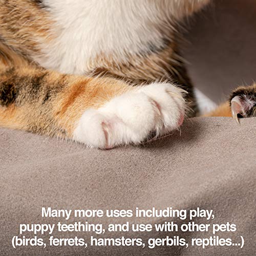PetFusion Multipurpose Pet Glove for Grooming, Trips to Vet, Handling. [Puncture & Scratch Resistant, Water Resistant]. 12 Month Warranty for Manufacturer Defects Grey