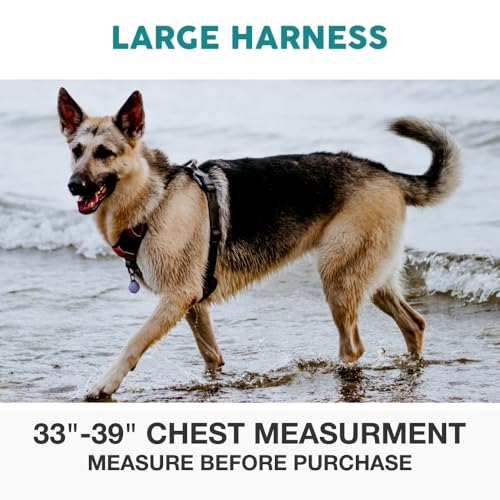 Embark Adventure Dog Harness, Reflective Trim No Pull Dog Harness for Large Dogs - Military Grade Nylon, Front Clip with Gel Lined Handle. Soft & Padded Puppy