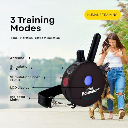Mini Educator E-Collar ET-300 / ET-302 Dog Training Collar System with Remote - 1/2 Mile Range - Waterproof, Vibration, Sensation - Includes eOutletDeals Pet Towel (1 Dog System - ET-300 Black)