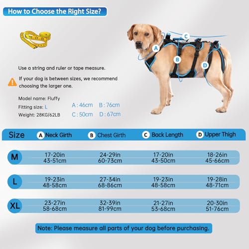 Lafoty Dog Lift Harness for Large Male Dogs, 2-in-1 Detachable Support Harness, Full Body Carrying with 4 Handles, Dog Sling for Large Dogs Hind Leg Support(Black, X-Large)