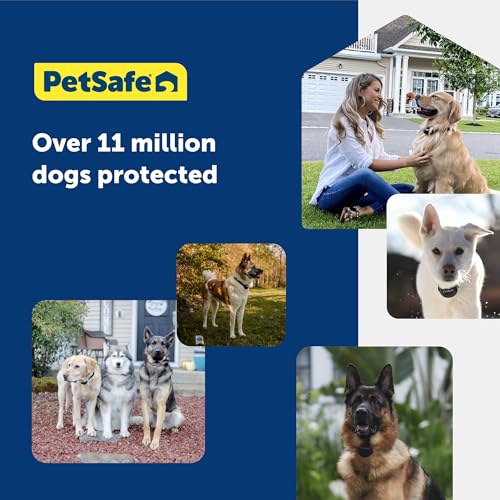 PetSafe Stubborn Dog Pet Fence Receiver Collar Only - In-Ground Containment Collar, Waterproof - Tone, Vibrae & Static Correction for Dogs 8lb and Up - From The Parent Company of INVISIBLE FENCE Brand