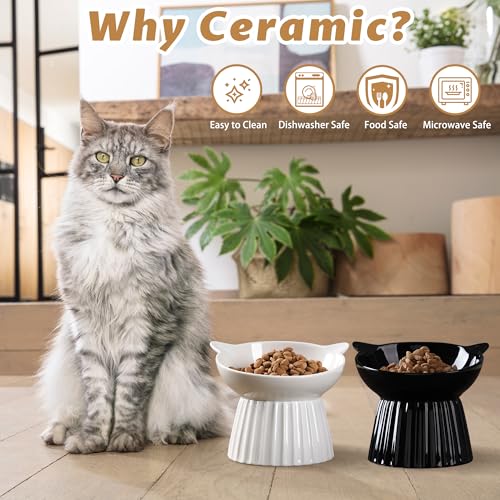 Wellbro Ceramic Raised Cat Bowl，Tilted Raised Bowl Anti Vomit Bowls for Indoor Cats Whisker Friendly Pet Feeder for Cats Puppies, Microwave and Dishwasher Safe