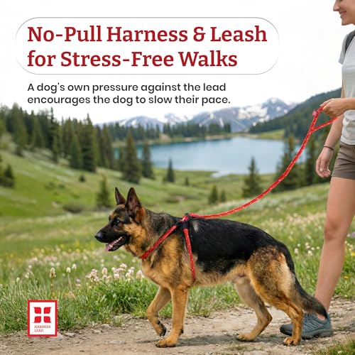 Harness Lead Escape Resistant, Reduces Pull Dog Harness, Medium/Large, Black