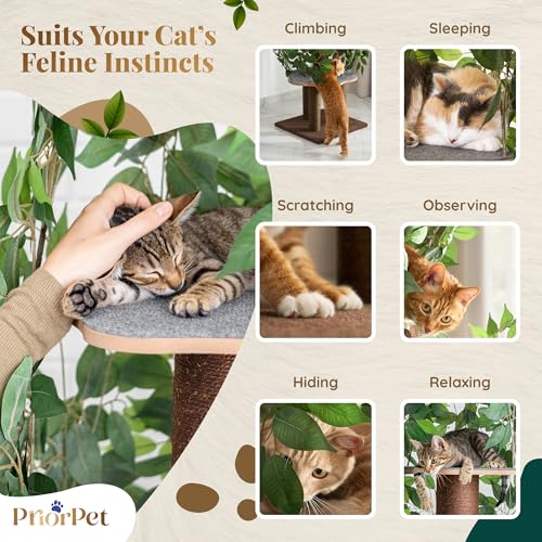 Cat Tree with Leaves – Stable & Space-Saving Design – 4 Scratch Levels & 5 Scratching Posts – for Climbing, Hiding and Sleeping – Easy to Assemble – Durable Cat Trees for Indoor Cats – Natural Look