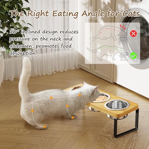 Elevated Cat Bowls with 3 Stainless Steel Bowls | 10° Tilted Anti-Vomiting Raised Cat Food Bowl for Small Cats and Puppies Pet Bowl with Stand