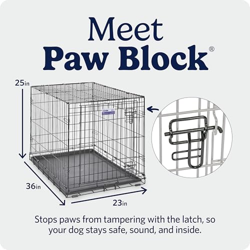 MidWest Homes for Pets 36-Inch iCrate for Medium-Large Breeds, 41-70 lbs, Single Door Folding Dog Crate with Divider Panel, Leak-Proof Tray & Secure Latches, Portable, Durable & Easy to Assemble