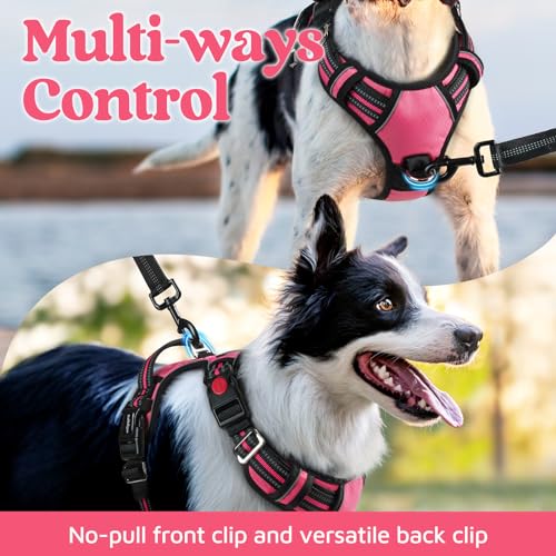 rabbitgoo Dog Harness for Large Dogs, 3 Buckles Easy On & Off No Pull Pet Vest, Soft Padded Walking Pet Harness with Control Handle, Adjustable and Reflective, Pink, L