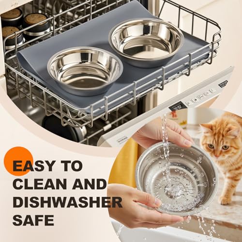 Cat Food Bowl for Indoor Cats - Elevated Stainless Steel Water Bowl, Tilted Raised Kitten Dish Set for Whisker Friendly and Anti Vomit, Feeding Station for Puppy and Pet